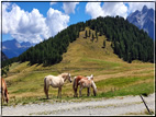 foto Dai Laghi di Rocco al Passo 5 Croci